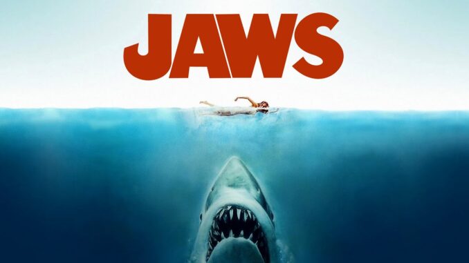 jaws shark attack
